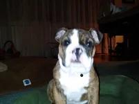 0309132102a.webp