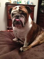 dukeJuly2012.webp