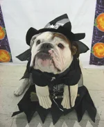 Witchy-poo Banks.webp
