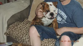DSCN0739.webp