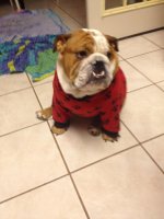 IMG_3430.jpg IMG_3430.jpg