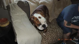 DSCN0727.webp
