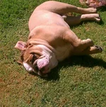 IMAG0717-1-1.webp