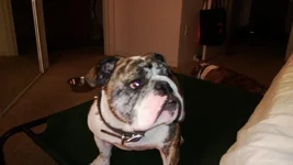 WP_20130923_007.webp