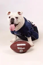 Wilson - Professional Pics #2.webp