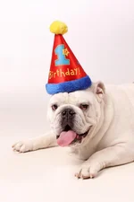 Wilson - Professional Pics #7.webp