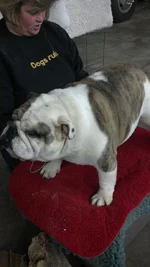 Tyson-5.webp