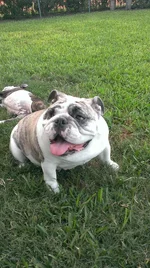 IMAG1080.webp