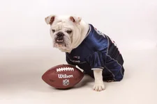 Wilson - Professional Pics #10.webp