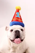 Wilson - Professional Pics #15.webp