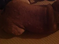 image.webp