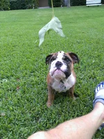 IMG_20130726_173801.webp