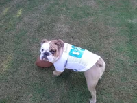 20130918_171919.webp