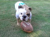 20130918_172008.webp