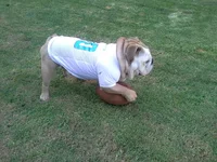 20130918_172025.webp