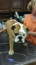 20130816_142849.webp