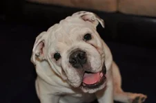 Buster 12-25-10-5.webp