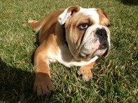 photo.webp
