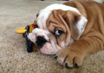mylesphoto.webp