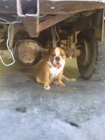 56rfuyg.webp