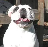LucySmiling.webp