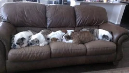 IMAG0187.webp