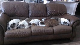 IMAG0187.jpg IMAG0187.jpg