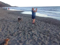 008.webp