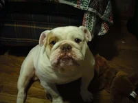 Hank, 8-17-2013.webp