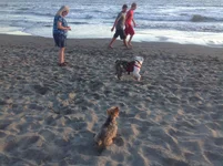 009.webp