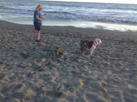 010.webp