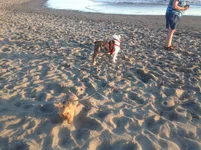 011.webp
