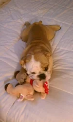 IMAG0460.webp
