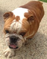 farley.jpg farley.jpg