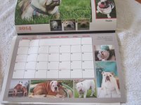 rescue calendar 003.jpg