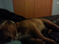20130819_224941.jpg 20130819_224941.jpg