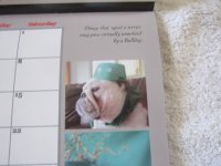 rescue calendar 004.jpg