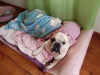 Petra's pictures 002.webp