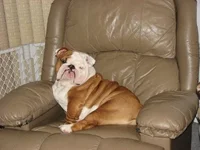 image.webp
