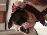 20131118_192131.webp