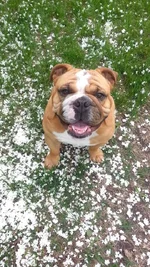 Big smile.webp