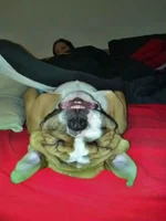 sleeping.webp sleeping.webp
