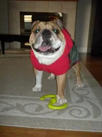 DSCN4101.webp