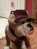 arnold  hat 1.webp