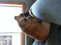 20130929_130912.webp