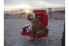 chumbeach1.webp