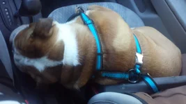20130930_181857.webp