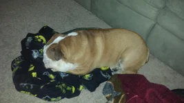 20130930_185948.webp