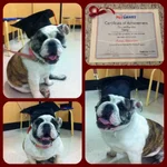 Grad1.webp