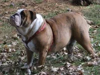 009.webp